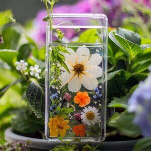 Real Pressed flower Floral Phone case Cover Pixel 8 pro 8a, 7 7a 6 6a Clear